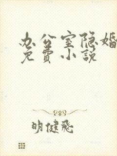 办公室隐婚轻黯免费小说