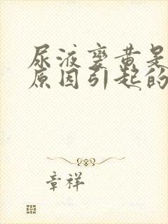 尿液变黄是什么原因引起的