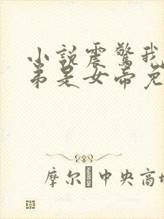 小说震惊我的徒弟是女帝免费阅读