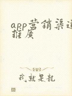 app营销渠道推广