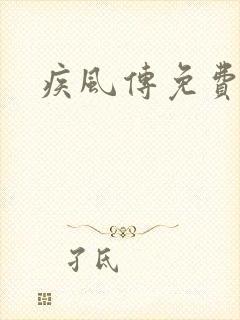 疾风传免费看