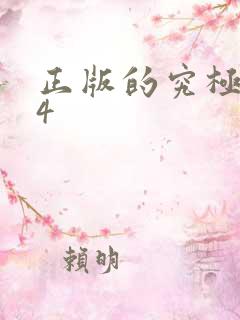 正版的究极风暴4