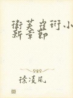 卫芙崔珩小说最新章节