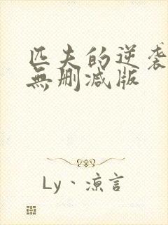 匹夫的逆袭小说无删减版