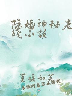 隐婚神秘老公在线小说