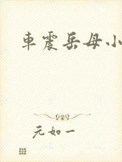 车震岳母小说
