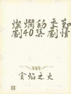 灿烂的季节电视剧40集剧情介绍