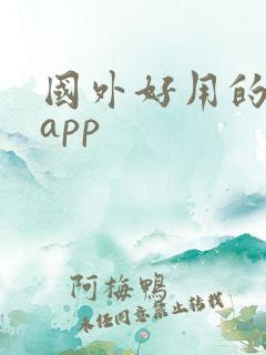 国外好用的地图app