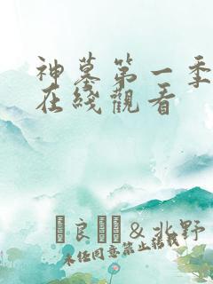 神墓第一季高清在线观看