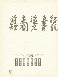 前夫追妻路漫漫短剧免费观看