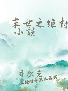 末世之绝对独宠 小说