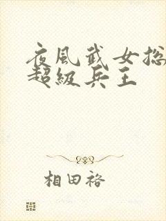 夜风武女总裁的超级兵王