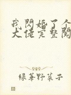 我闪婚了个财阀大佬完整阅读