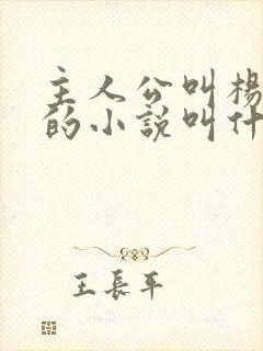 主人公叫杨小天的小说叫什么名字