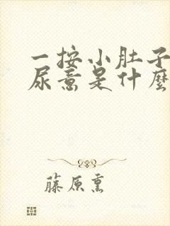 一按小肚子就有尿意是什么原因