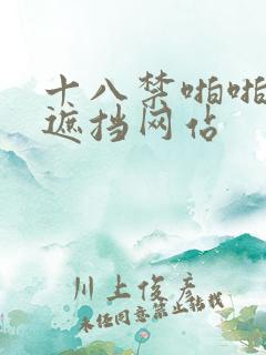 十八禁啪啪啪无遮挡网站