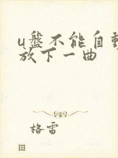 u盘不能自动播放下一曲