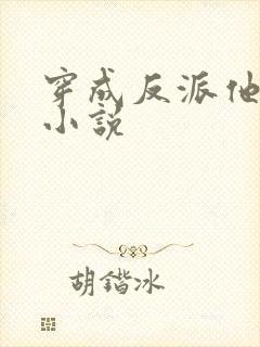 穿成反派他妹 小说