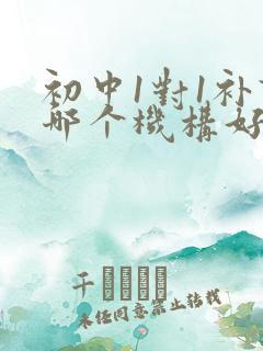 初中1对1补课哪个机构好