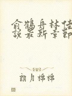 俞鹤舟林佳渔小说最新章节