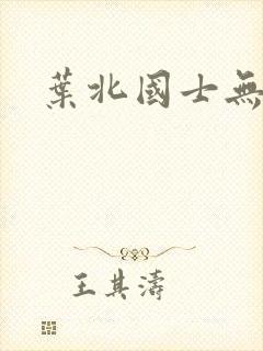 叶北国士无双