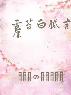 舌苔白腻有齿痕厚