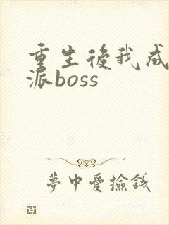 重生后我成了反派boss