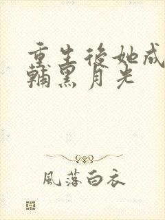 重生后她成了首辅黑月光