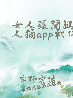 女人张开腿让男人捅app软件