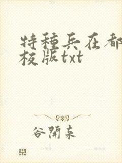 特种兵在都市精校版txt