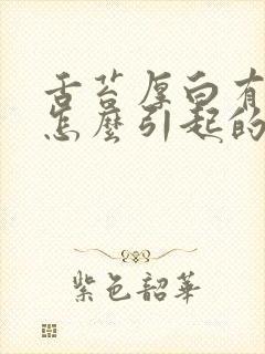 舌苔厚白有齿痕怎么引起的