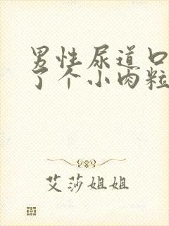 男性尿道口内长了个小肉粒