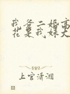 我爸二婚高冷校花是我妹大姐扮演者