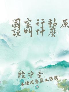 国家行动原著小说叫什么