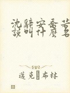 沈辞安乔若兮小说叫什么名字