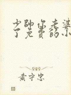 少帅你老婆又跑了免费的小说