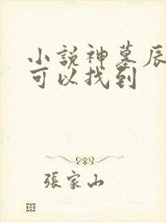 小说神墓辰东哪可以找到