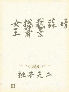 女总裁苏晴与兵王萧晨