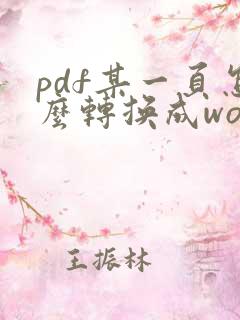 pdf某一页怎么转换成word