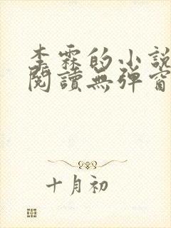 李霖的小说免费阅读无弹窗