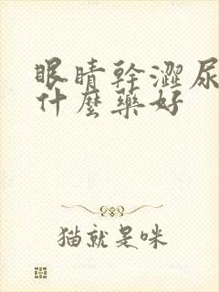 眼睛干涩尿黄吃什么药好