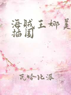 海贼王娜美被轮插图