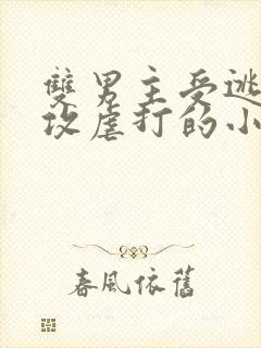 双男主受逃跑被攻虐打的小说