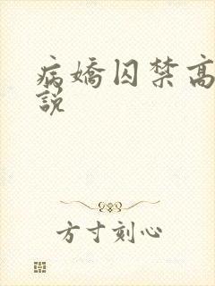 病娇囚禁高h小说