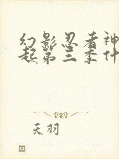 幻影忍者神龙崛起第三季什么时候出