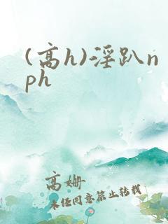 (高h)淫趴nph