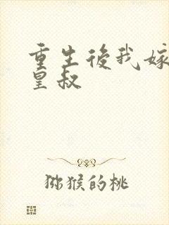 重生后我嫁给了皇叔