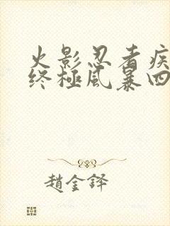 火影忍者疾风传终极风暴四