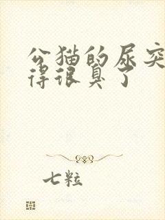 公猫的尿突然变得很臭了