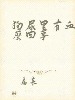 狗尿里有血是怎么回事